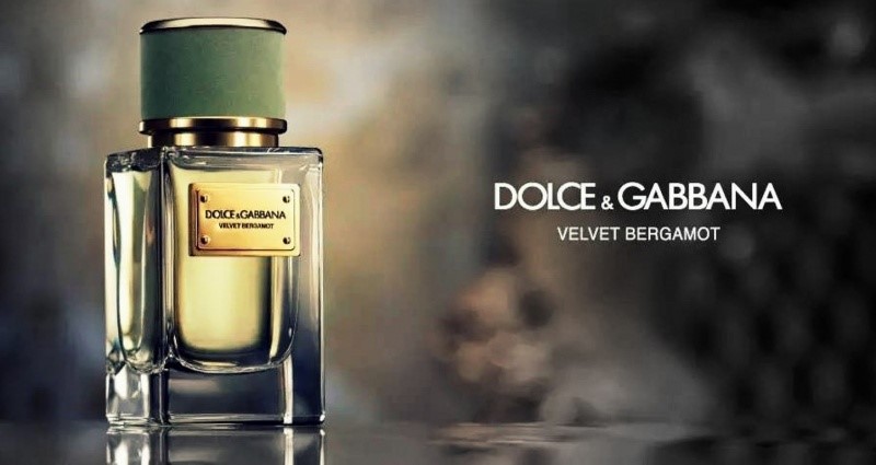 Velvet-Bergamot-Dolce-&-Gabbana